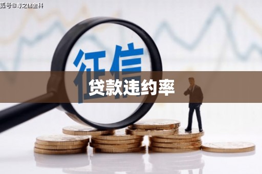 丰南贷款违约率