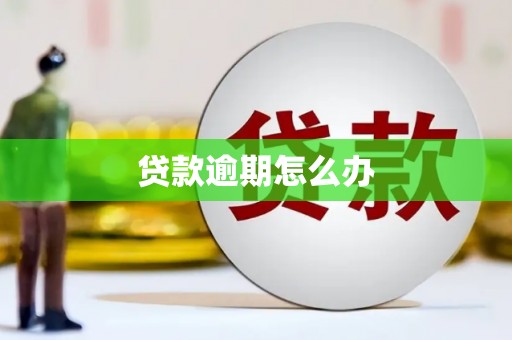 丰南贷款逾期怎么办
