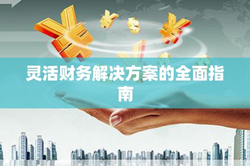 丰南灵活财务解决方案的全面指南