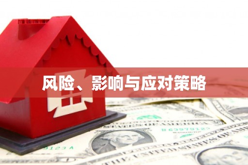 丰南风险、影响与应对策略