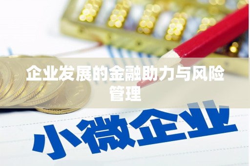 丰南企业发展的金融助力与风险管理
