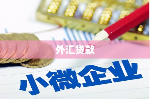 丰南外汇贷款