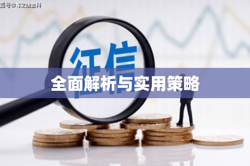 丰南全面解析与实用策略