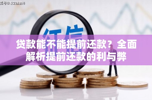 丰南贷款能不能提前还款？全面解析提前还款的利与弊