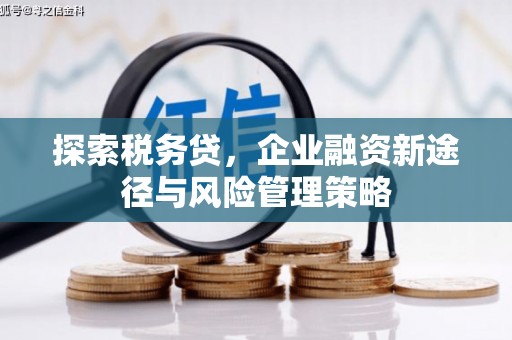 丰南探索税务贷，企业融资新途径与风险管理策略