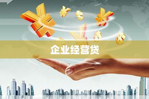 丰南企业经营贷