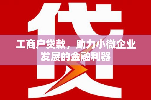 丰南工商户贷款，助力小微企业发展的金融利器