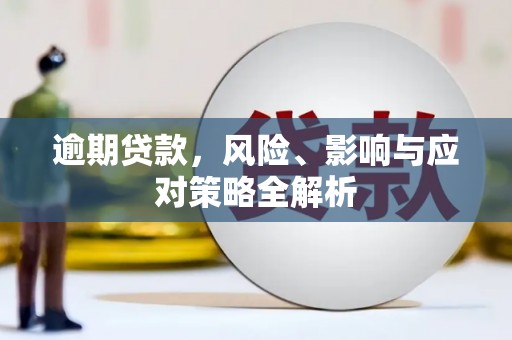 丰南逾期贷款，风险、影响与应对策略全解析