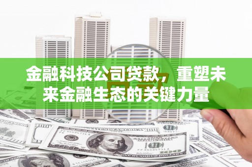 丰南金融科技公司贷款，重塑未来金融生态的关键力量