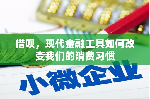 丰南借呗，现代金融工具如何改变我们的消费习惯