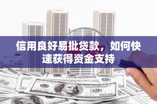 丰南信用良好易批贷款，如何快速获得资金支持