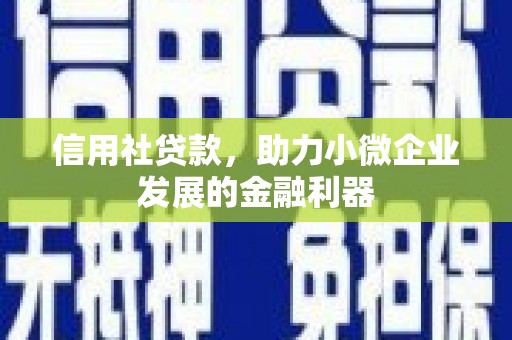 丰南信用社贷款，助力小微企业发展的金融利器