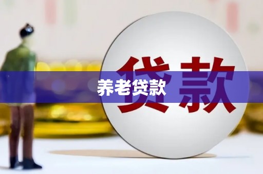 丰南养老贷款