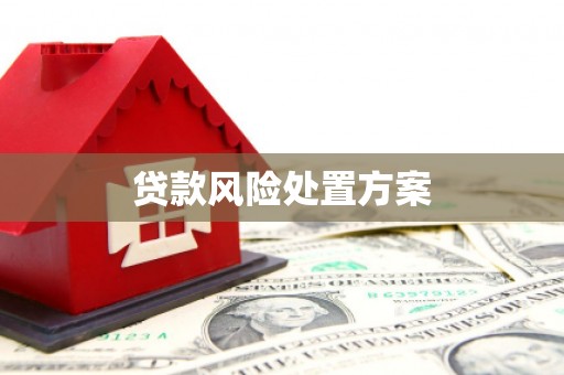 丰南贷款风险处置方案